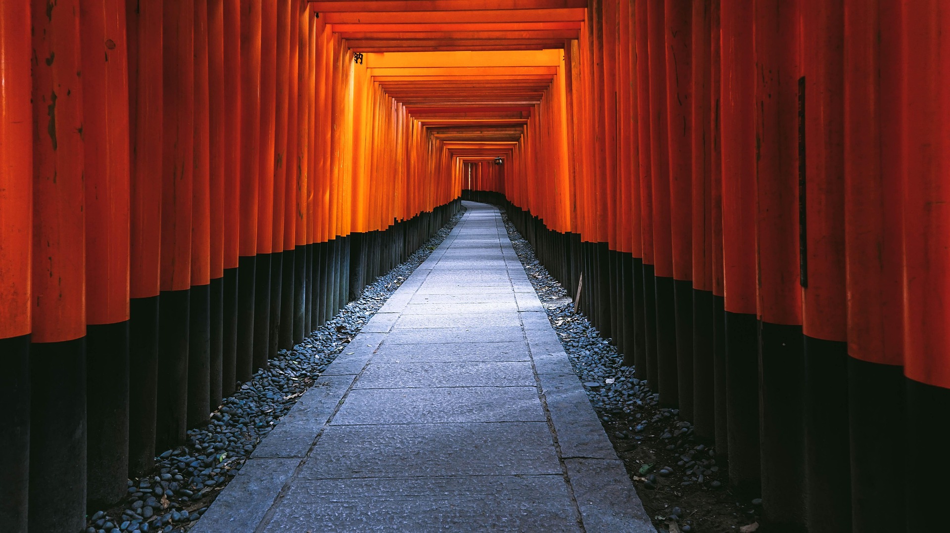 Minimalist pattern of lines and light